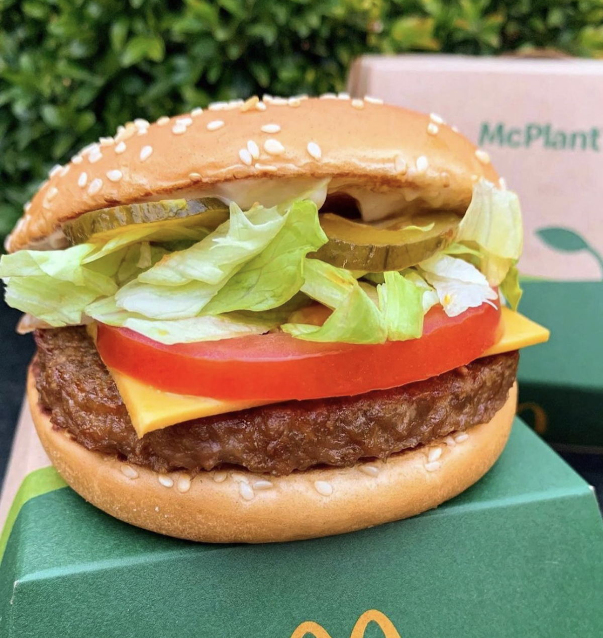 is anything at mcdonalds vegan mcplant