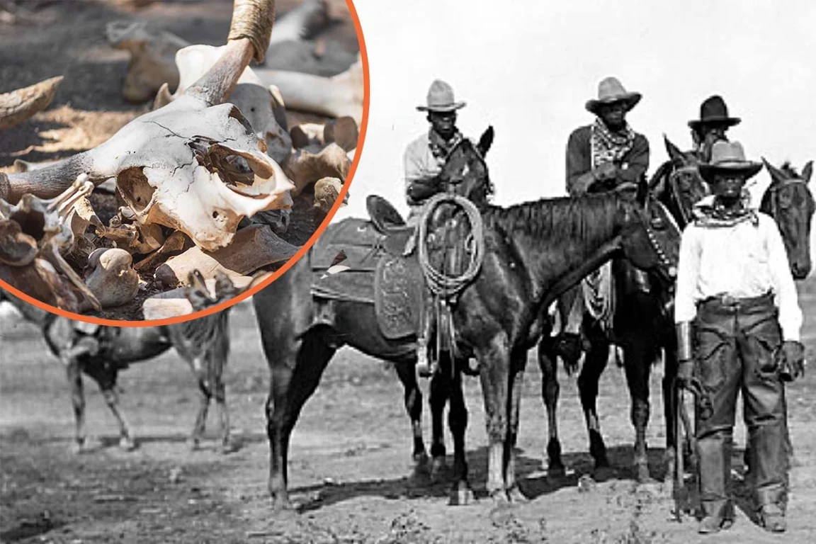 Black History Month US: How food teaches us about the lives of African-American cowboys