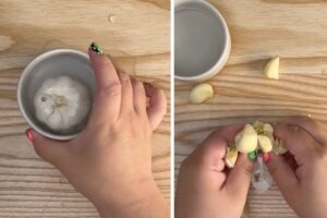 garlic peeling hack