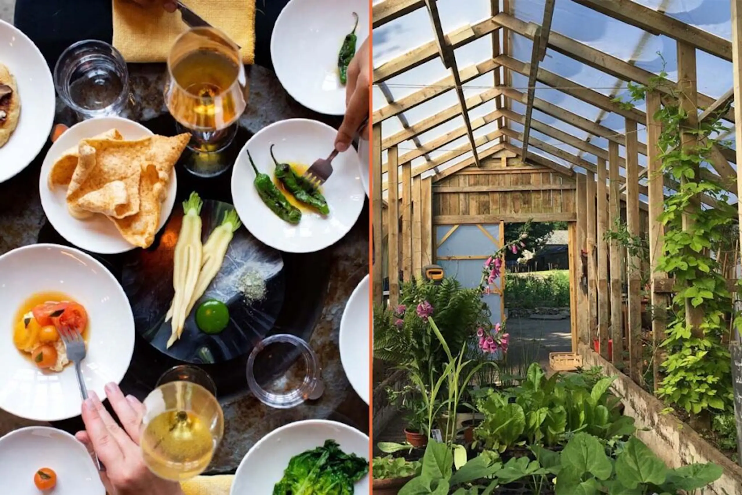 Earth Day: 6 zero-waste restaurants in the UK that are changing the game