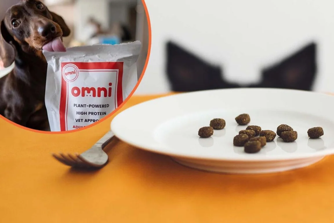 Company is looking to pay someone £5000 to eat dog food for 5 days