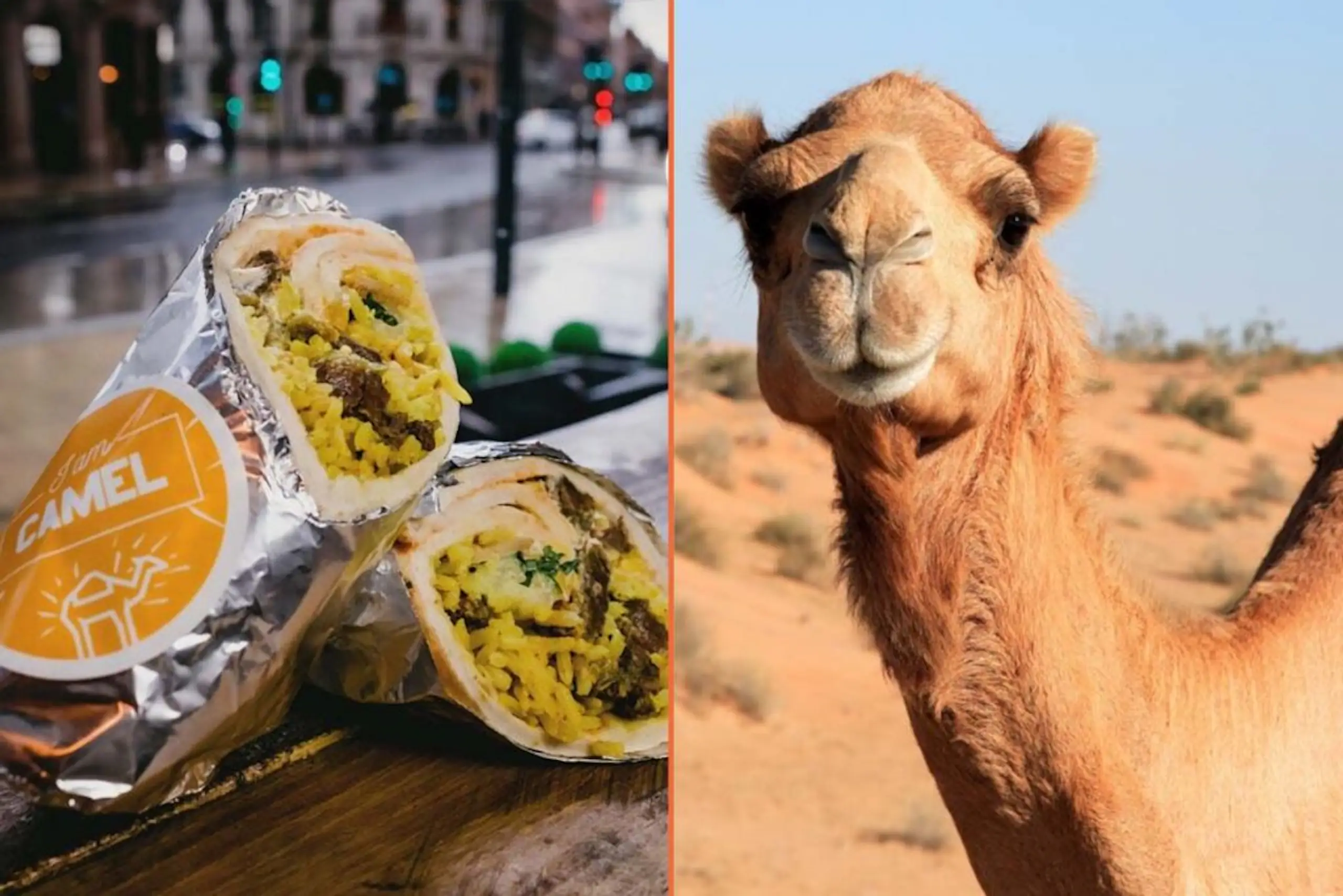 This UK döner shop is selling camel meat kebabs