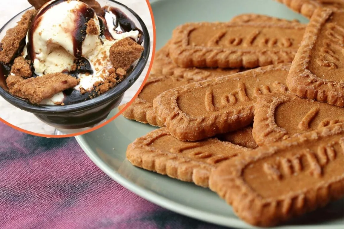 People are making Biscoff ice cream sandwiches and they’re perfect for summer