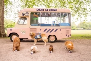 aldi dog ice cream