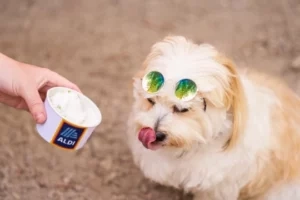 aldi dog ice cream