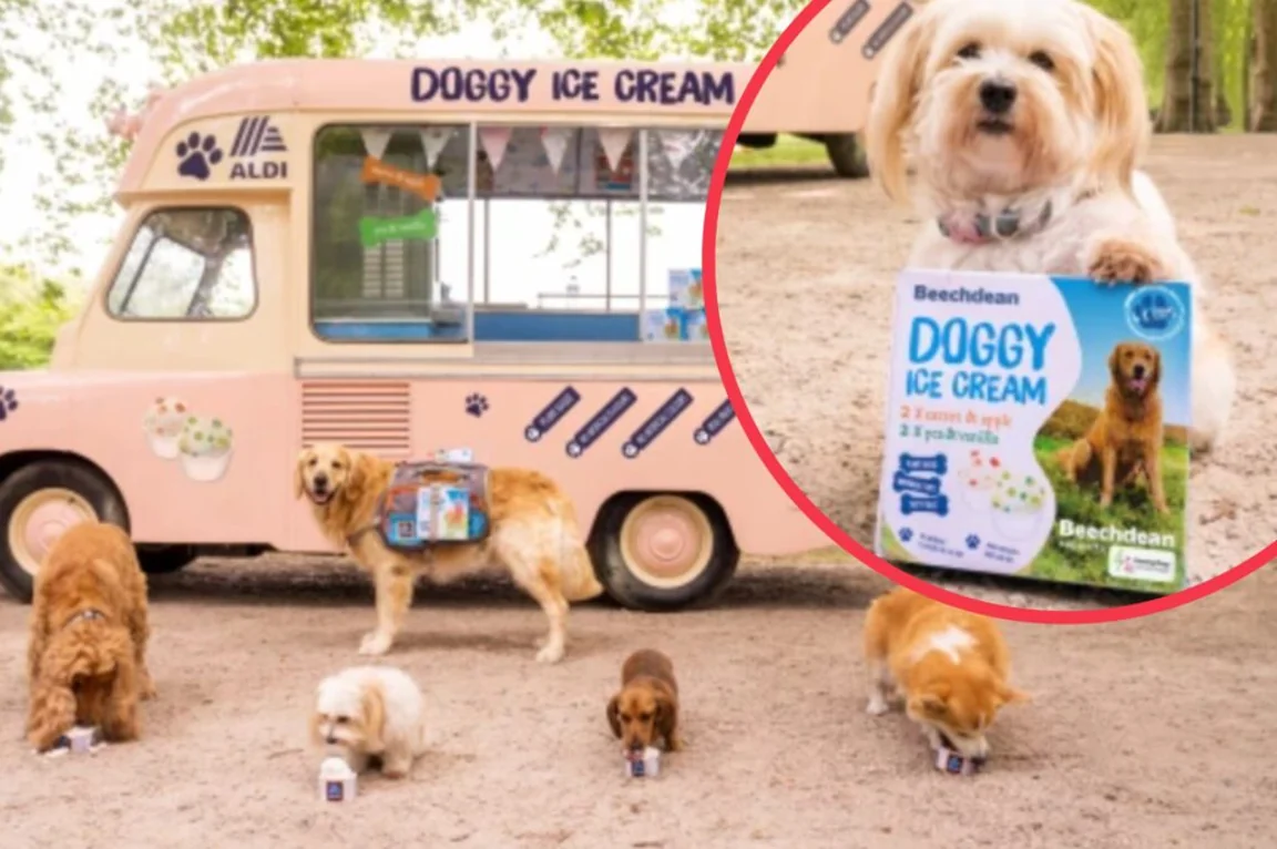 Aldi has brought out ice cream for dogs just in time for the heatwave