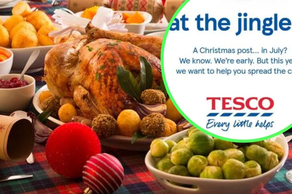 Tesco releases Christmas ad in July advising people to shop early to tackle costs