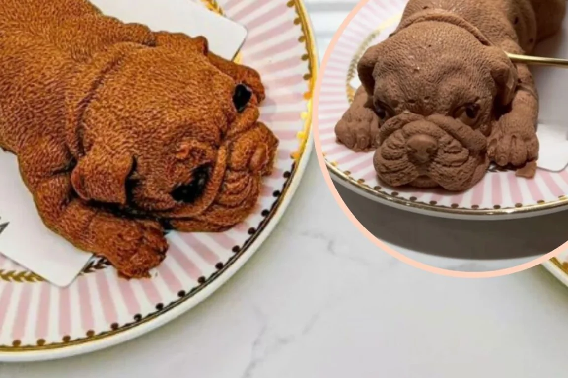 This cafe serves a chocolate mousse in the shape of a dog and it’s scarily lifelike