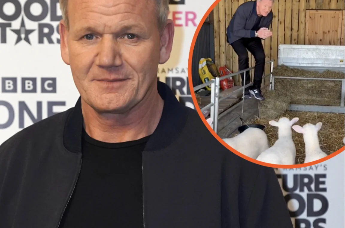 Gordon Ramsay upsets TikTokers after joke about slaughtering lamb