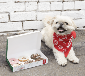 krispy kreme dog doughnut