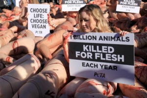 peta protestors