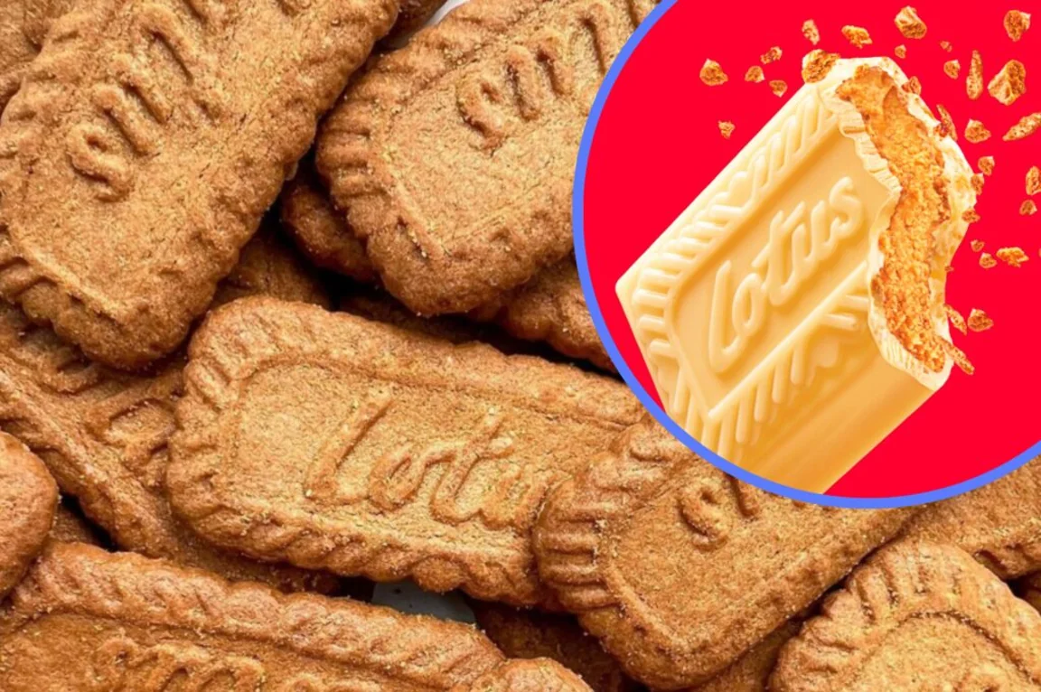Lotus Biscoff launches new white chocolate cream bar