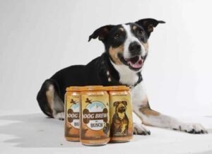 busch beer for dogs