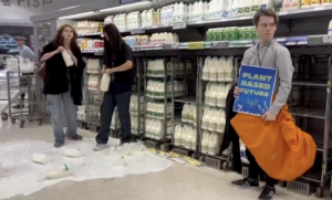 animal rebellion milk protests