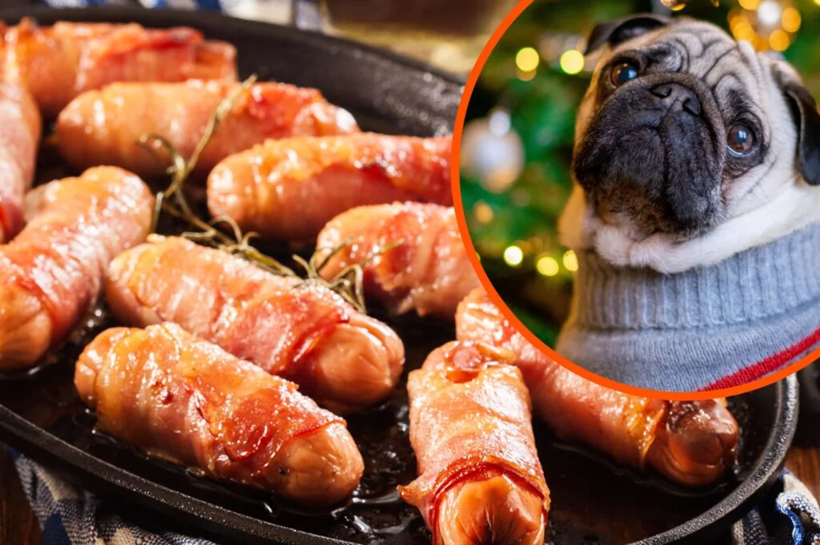 You can now get pigs in blankets made especially for your dog