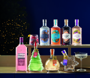 aldi christmas gins 2022