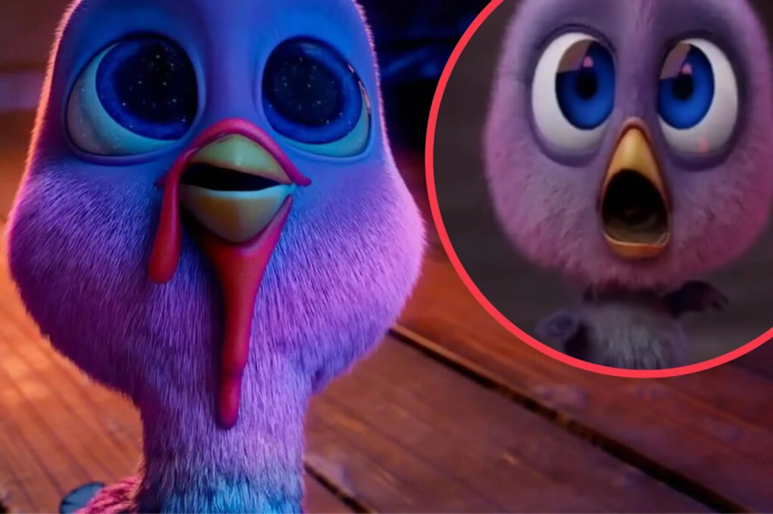 PETA activist sparks debate as she says Christmas turkey eaters should be ‘ashamed’