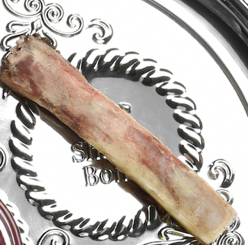 passover food shank bone