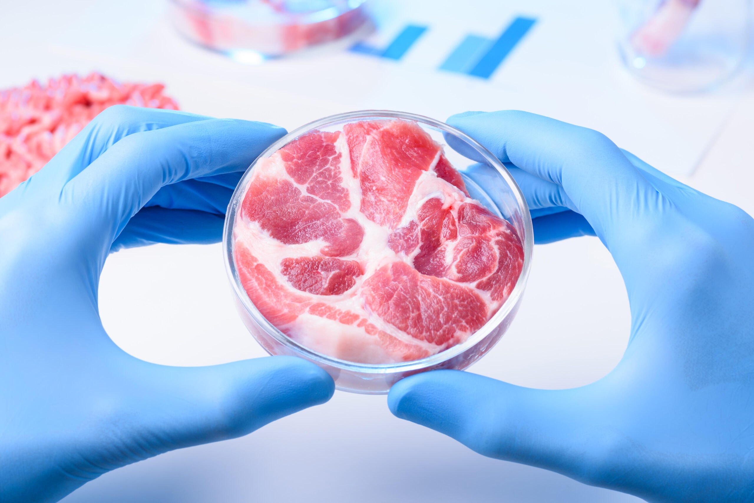 lab grown meat italy ban