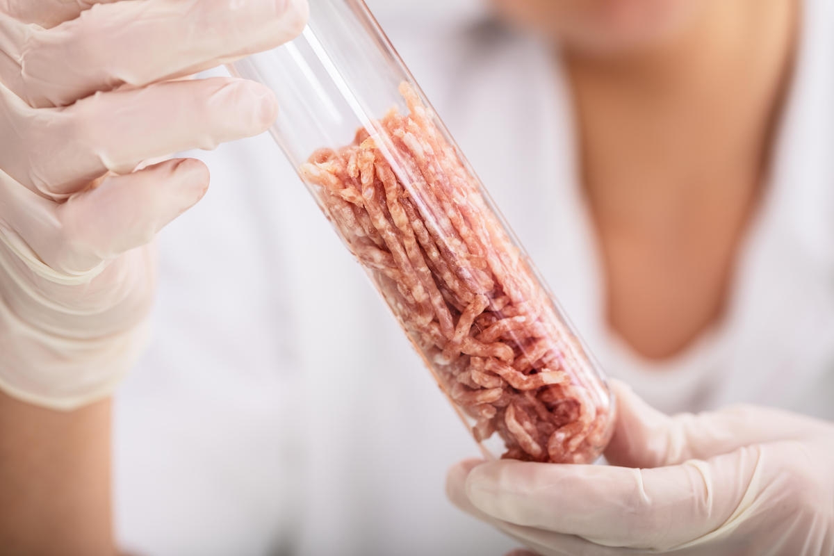 lab grown meat italy ban