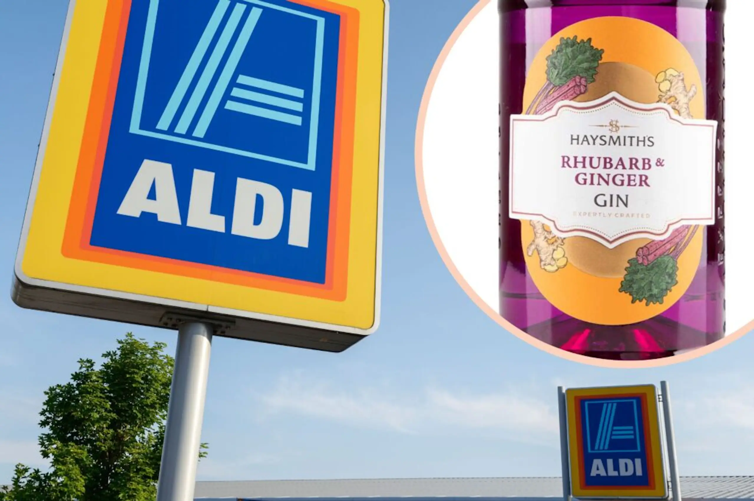 This Aldi gin has been named one of the best in the world
