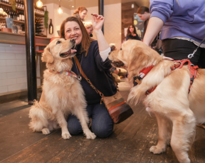 pop and bark golden retriever pop up cafe dog