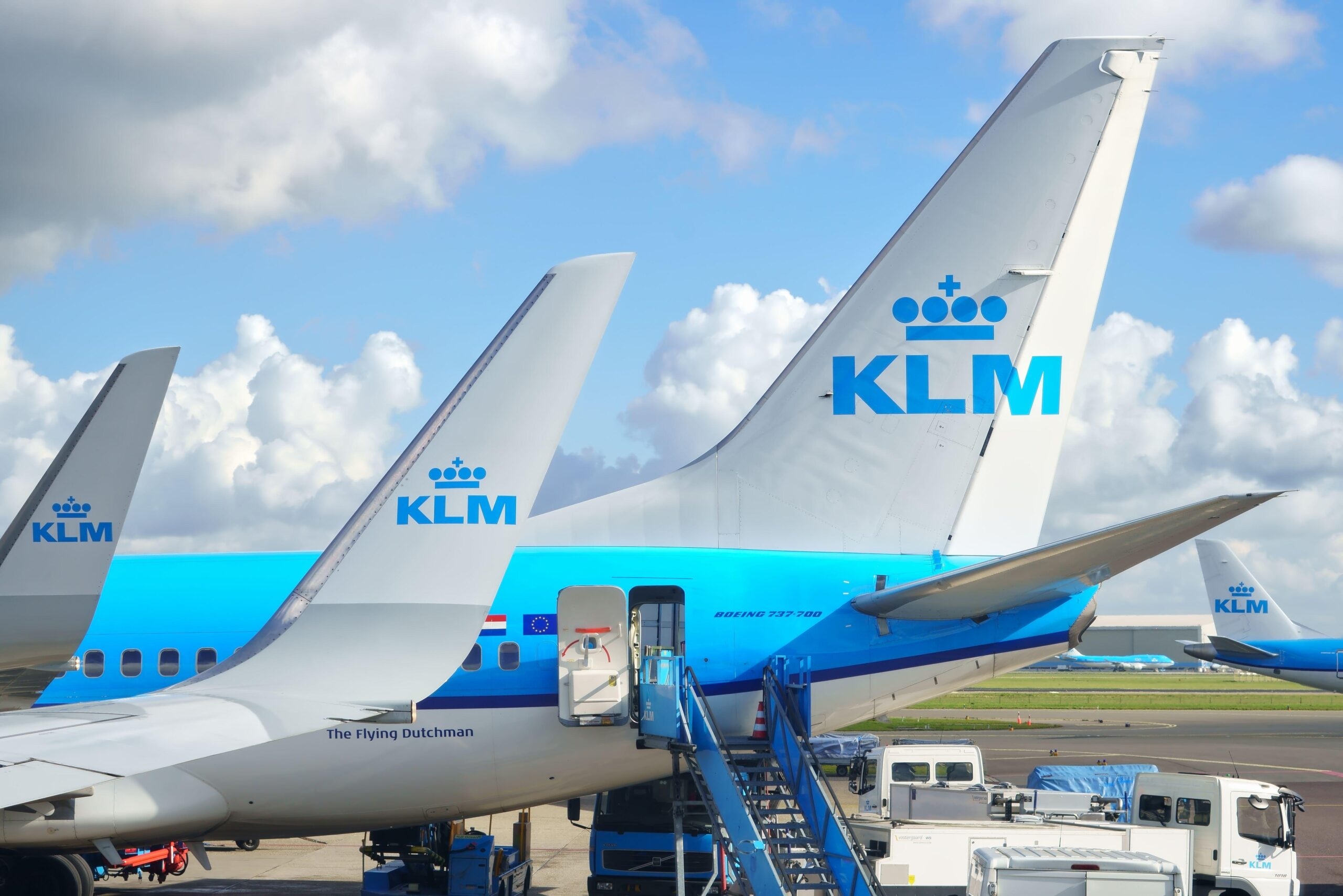 klm airlines vegan inflight meal