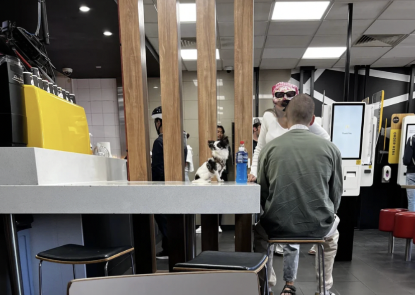 dog table mcdonalds reddit