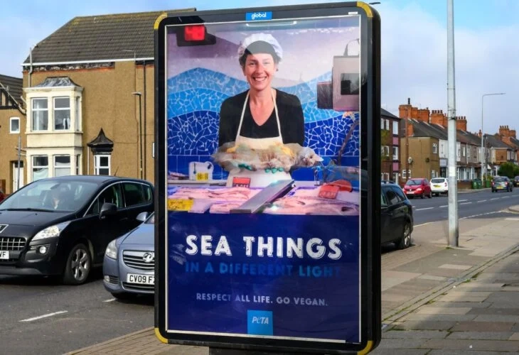 peta fish cat billboard Cleethorpes