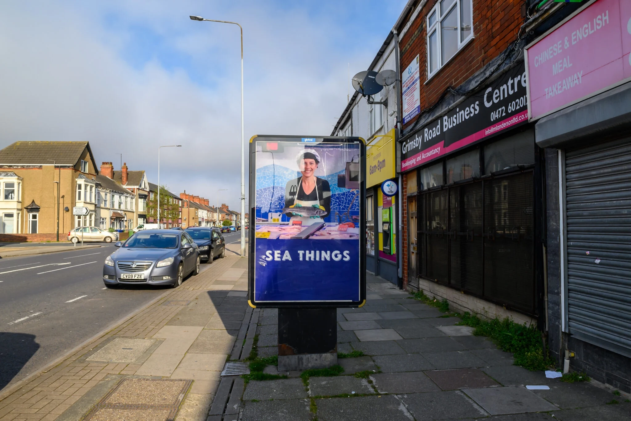 peta fish cat billboard Cleethorpes