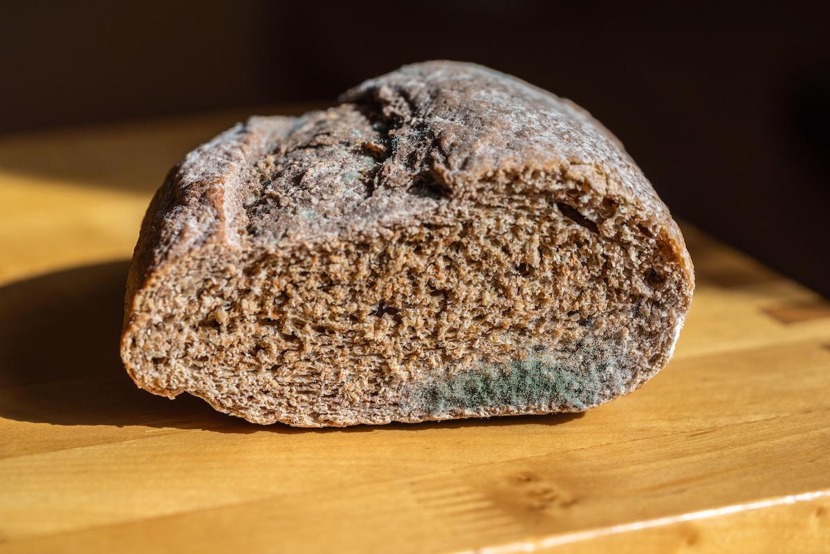 mouldy bread can you pick mould off bread