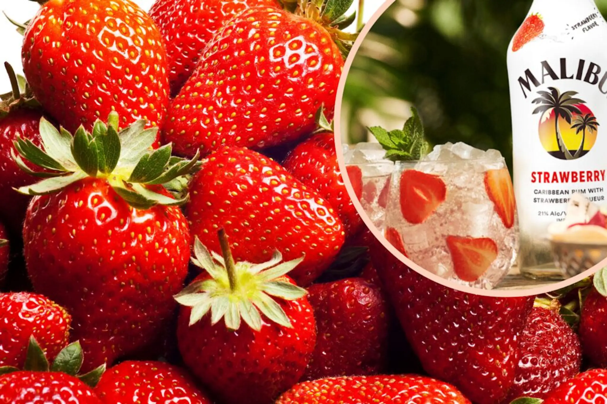 Malibu strawberry returns to UK shelves for summer