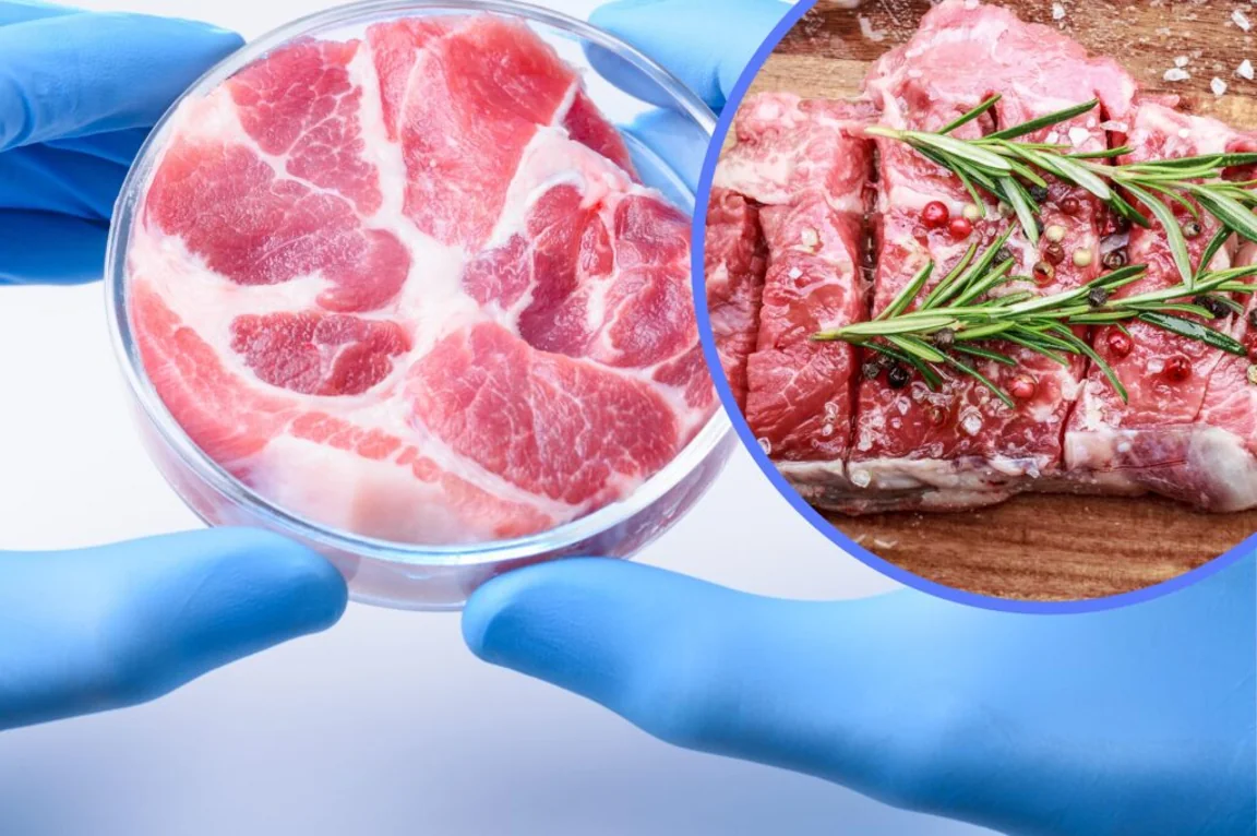 Lab-grown meat could be up to 25 times worse for the environment than beef, study says
