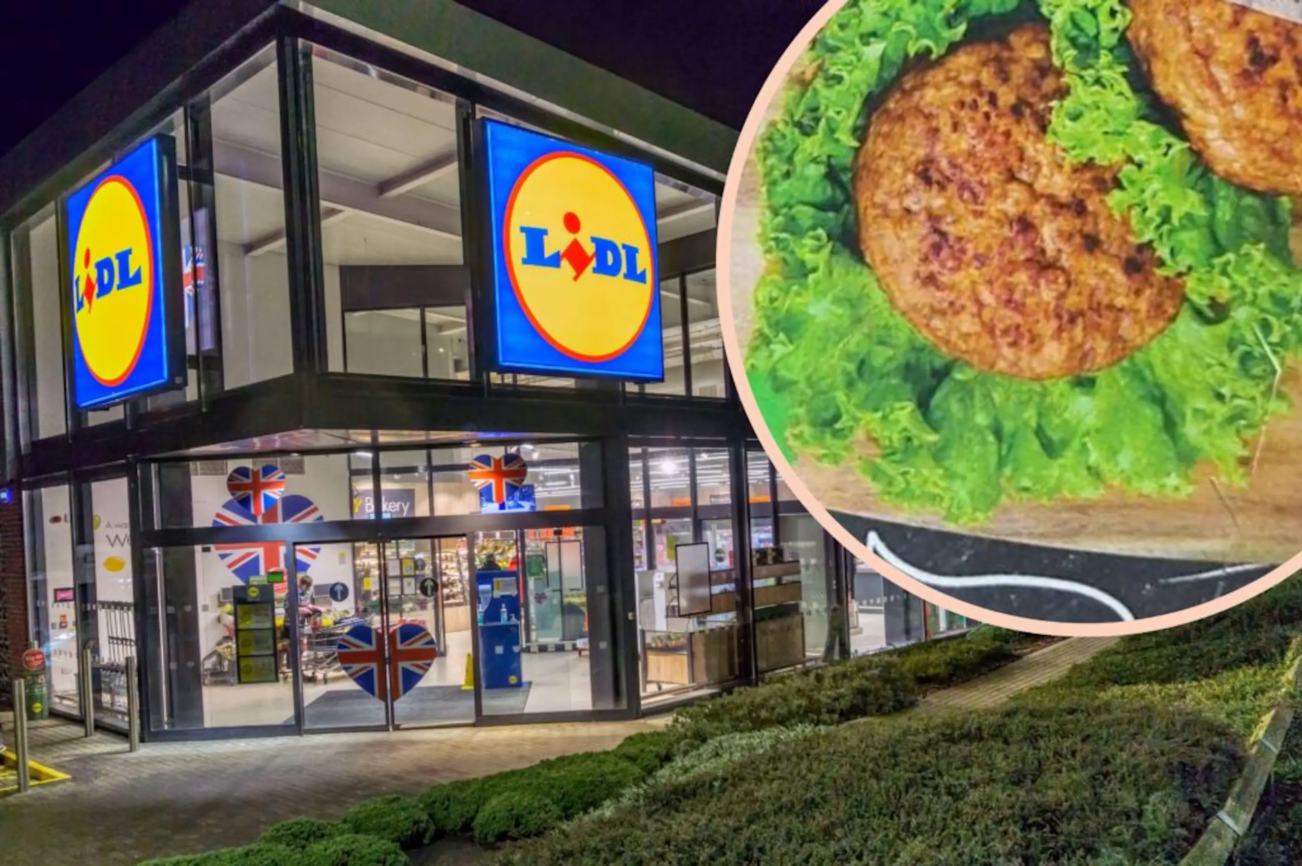 Lidl launches insect burgers made from mealworm larvae