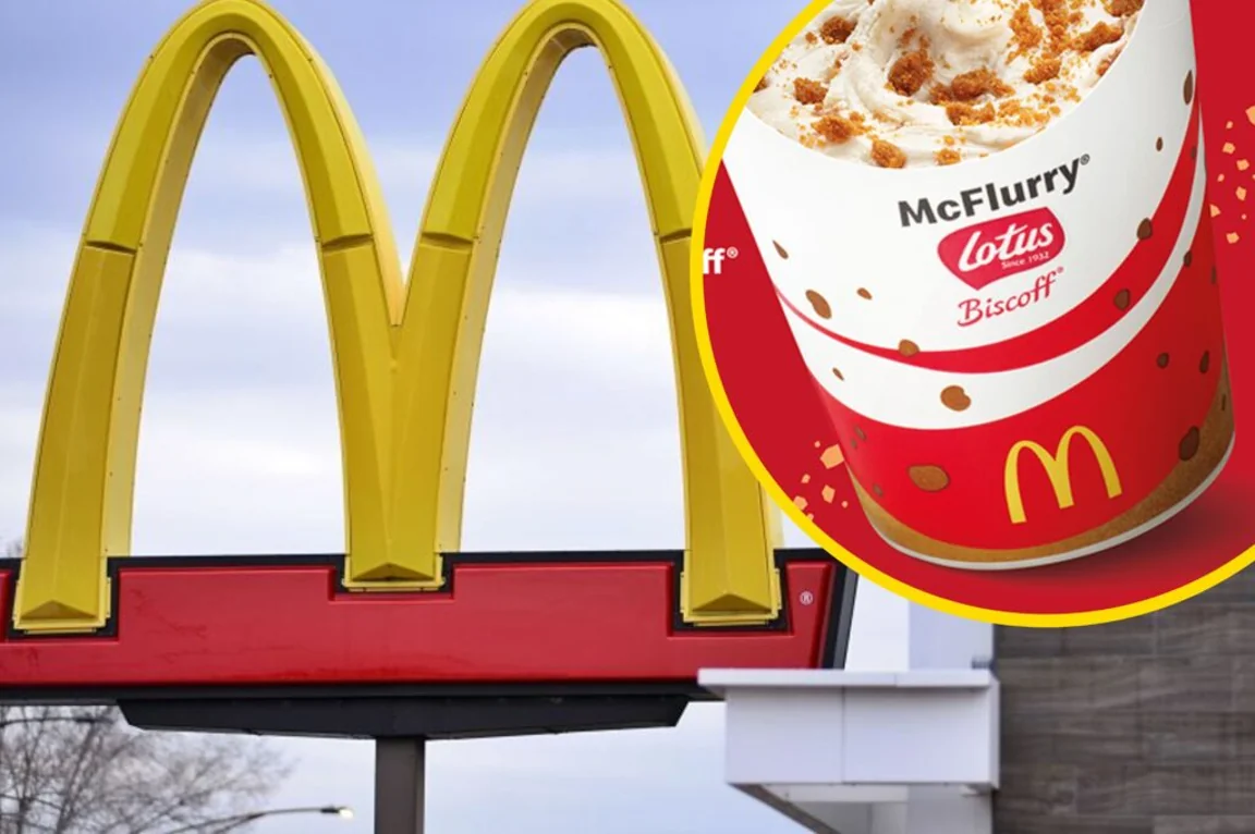 McDonald’s finally confirms Lotus Biscoff McFlurry is coming and reveals its launch date
