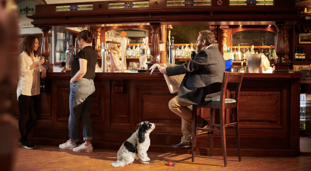 dog in pub 