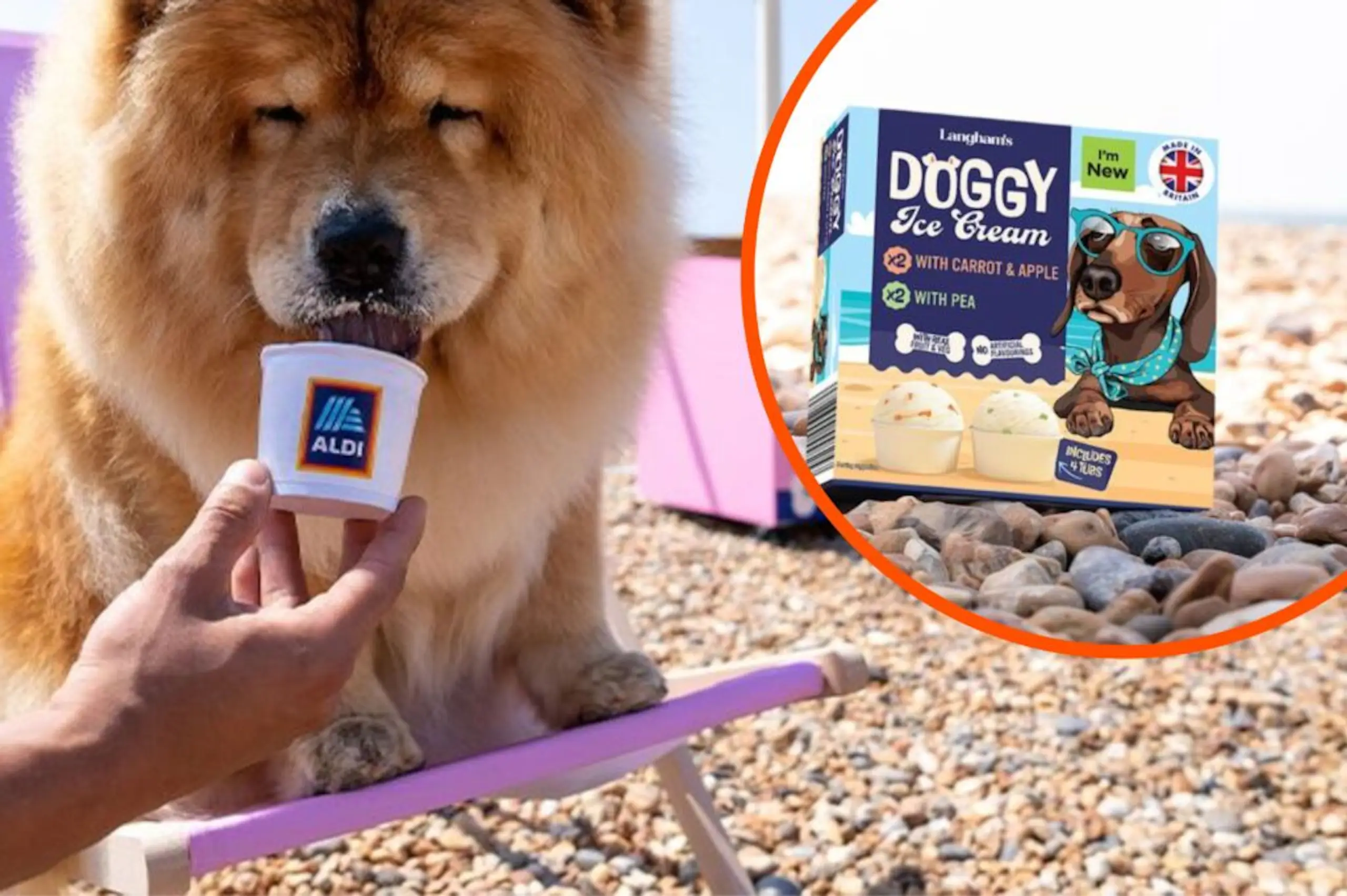 Aldi is selling ice creams for dogs again from today