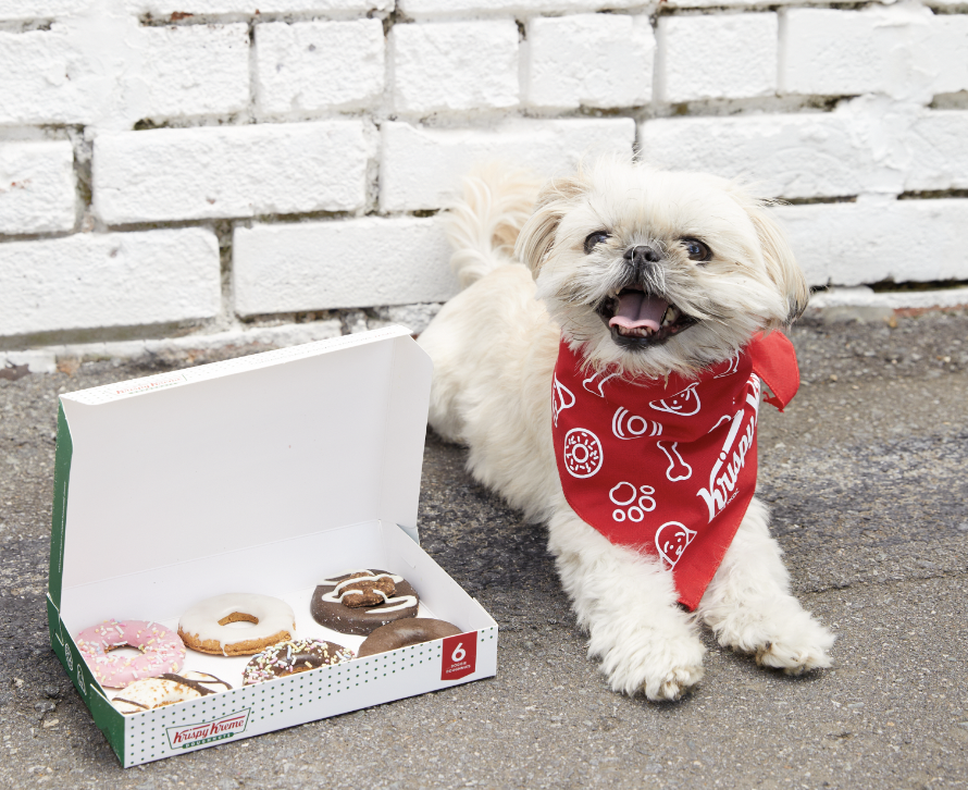 krispy kreme doggie doughnuts dog uk