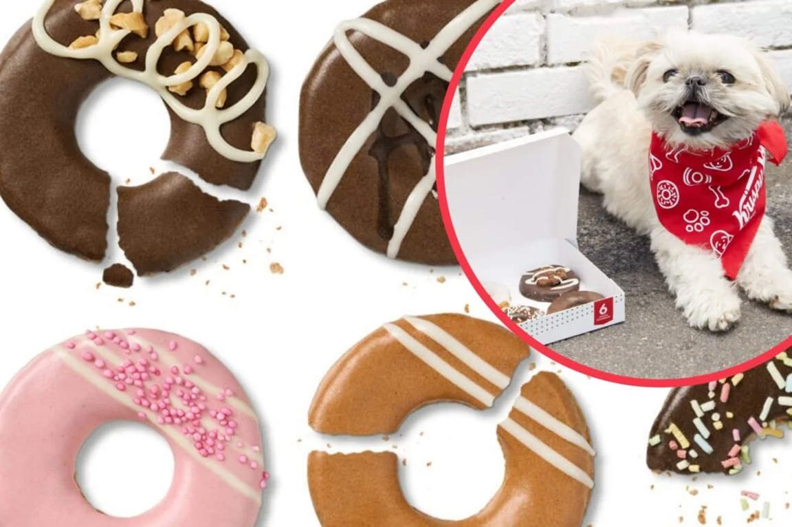 Krispy Kreme launches limited edition doughnuts for dogs