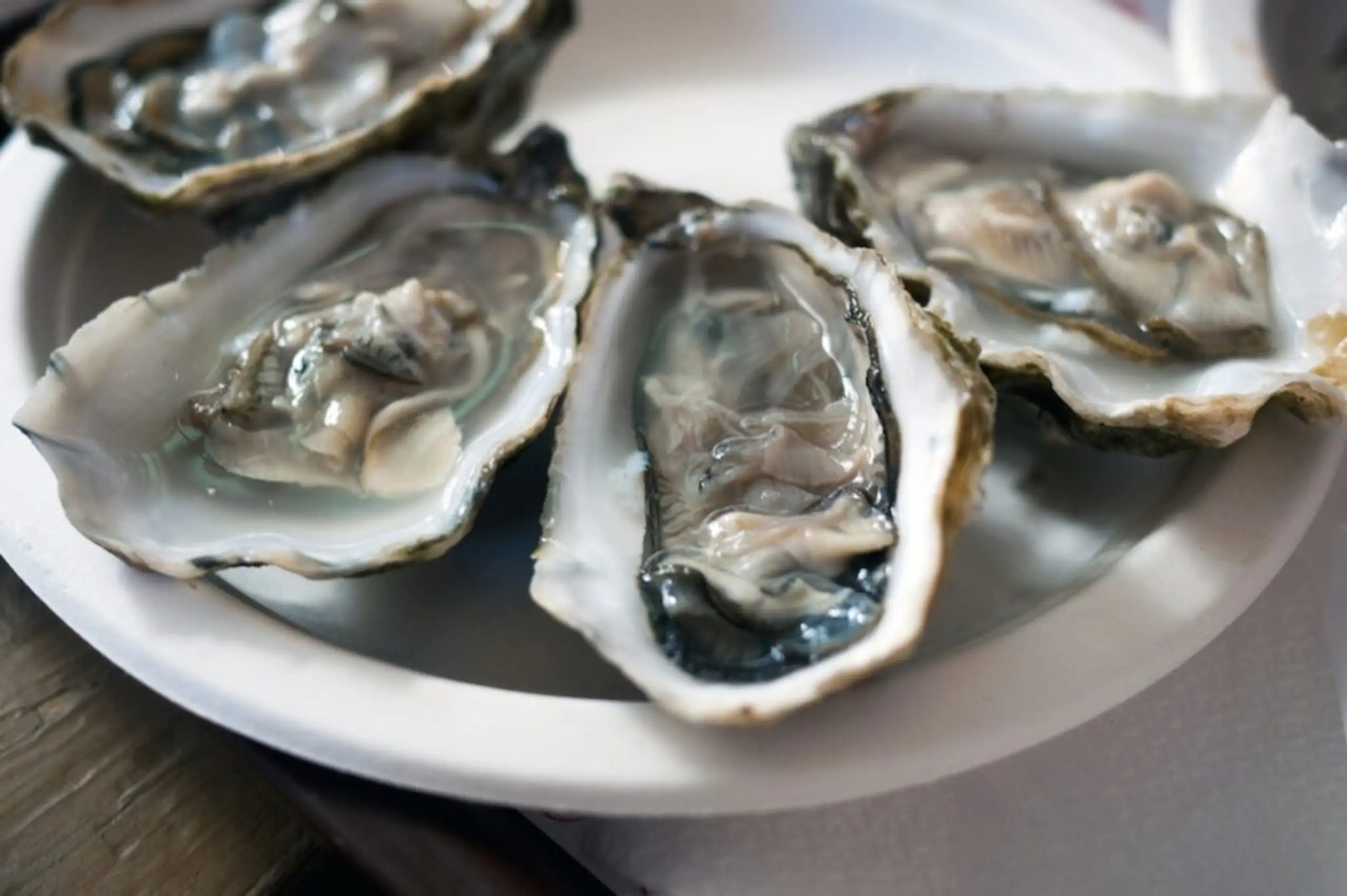 Woman abandoned by date with £150 bill after ordering 48 oysters