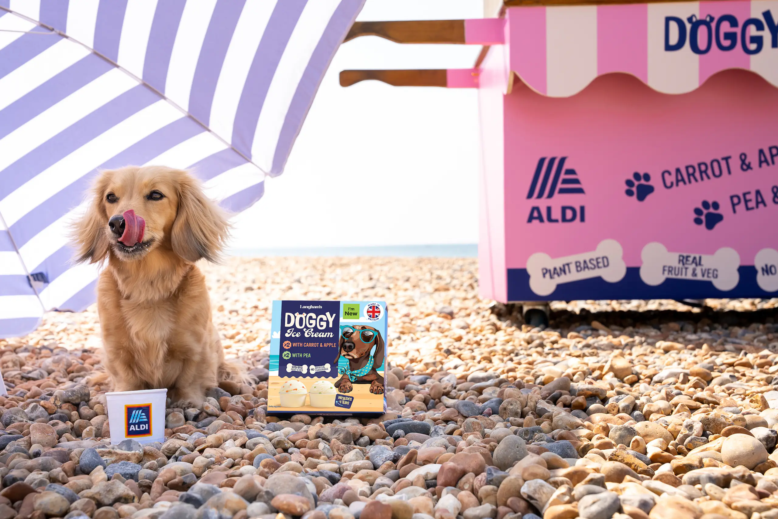 Aldi's dog-friendly ice cream is returning next week
