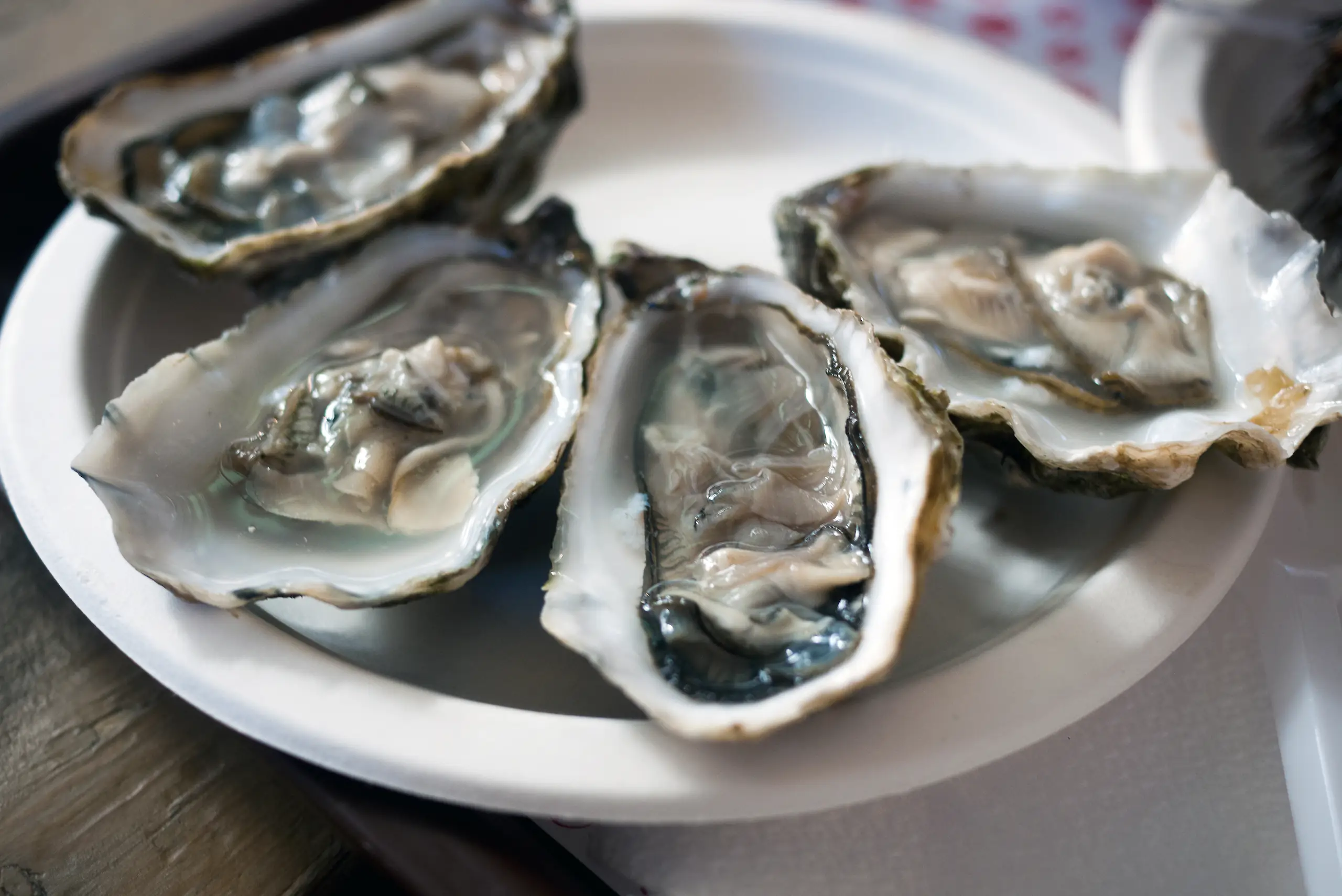 People are just discovering what happens when you eat an oyster