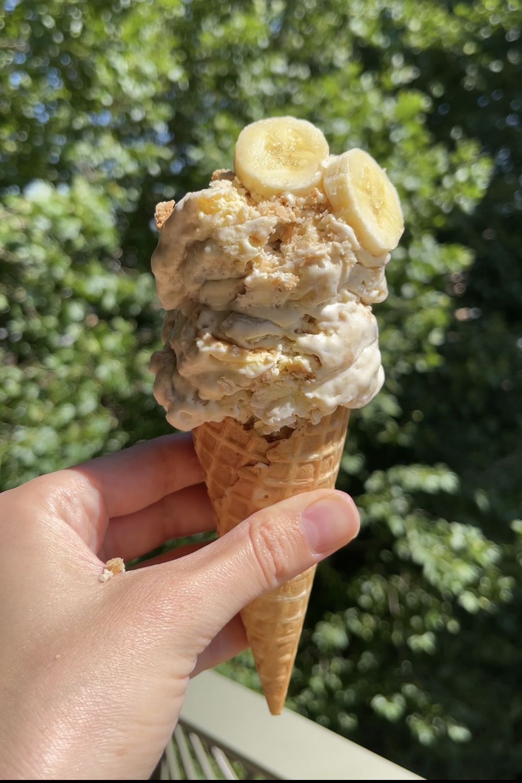 No Churn Banana Pudding Ice Cream