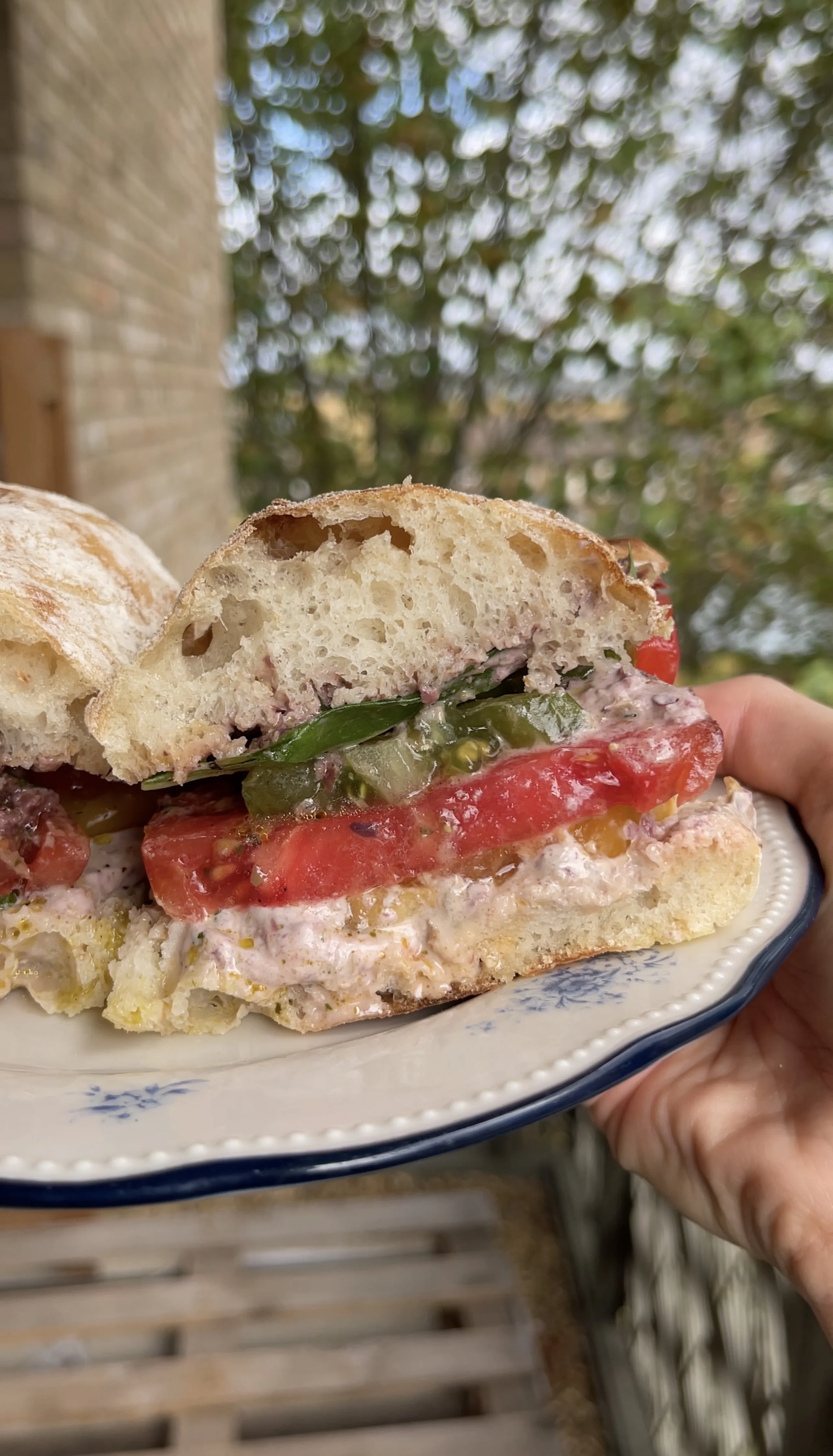 The Juiciest Tomato and Tapenade Sandwich