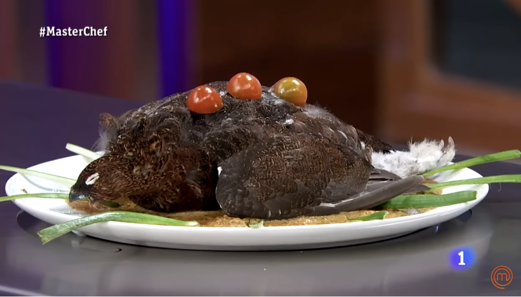 MasterChef Spain star booted off for serving feathered, uncooked bird