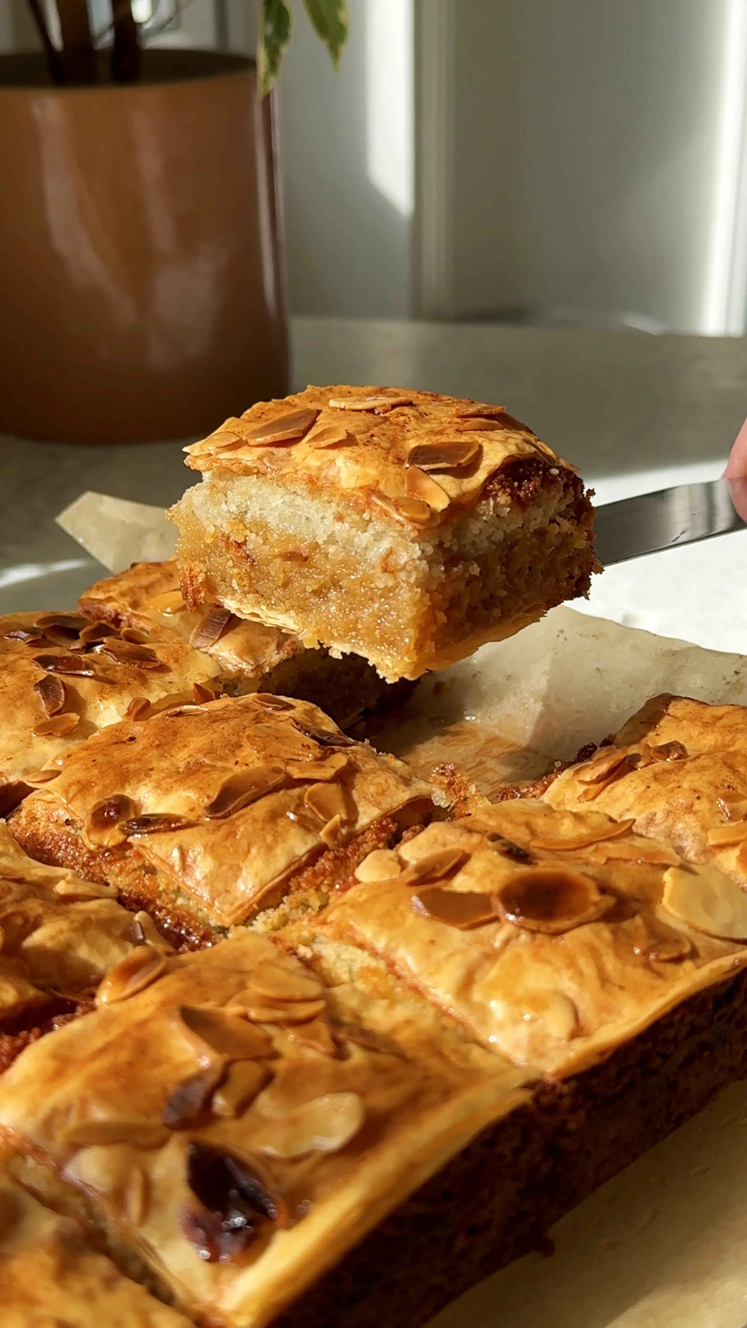 Screenshot 2025-09-08 at 11.04.34 copy.jpg