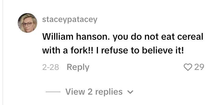 People thought the expert was trolling (Credit: TikTok)