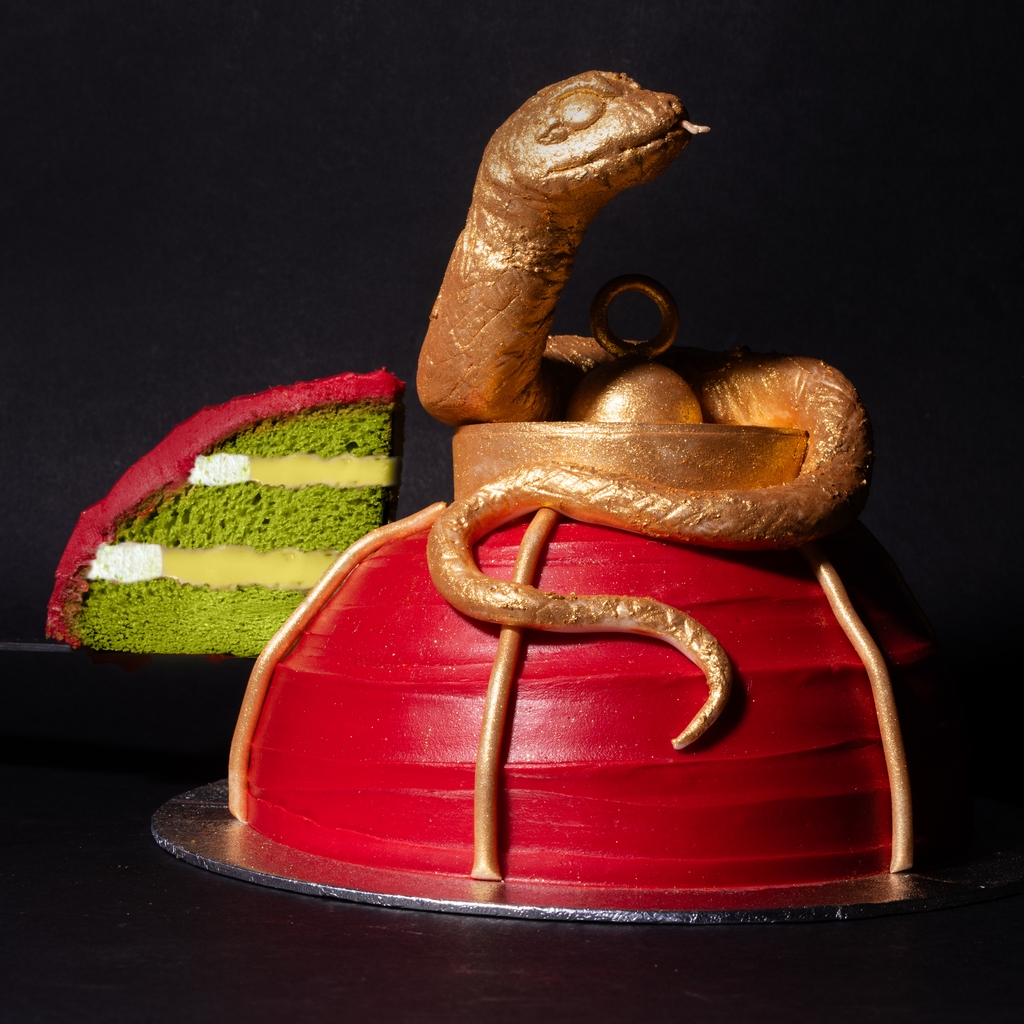 Snake Cake Fixed.jpg