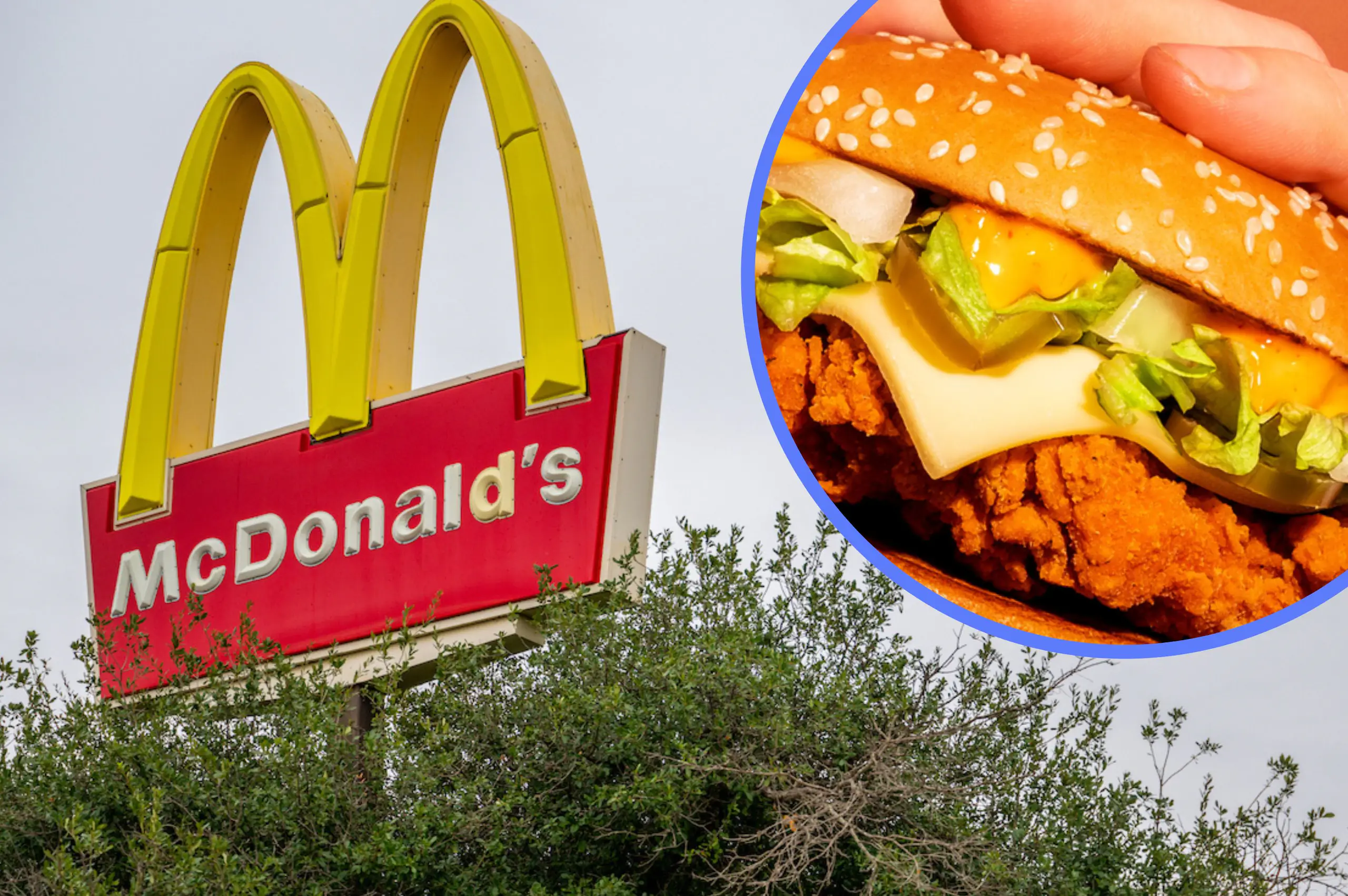 McDonald's fans are begging for limited burger to stay on menus