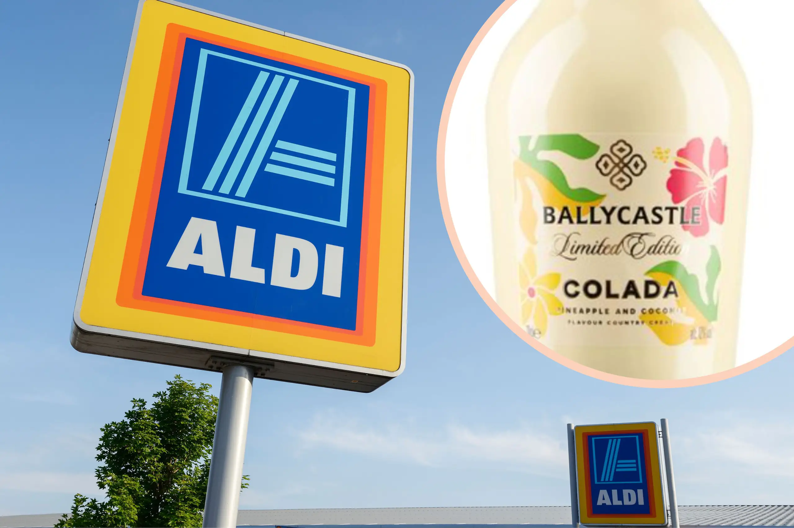 Aldi is selling Pina Colada Ballycastle creme liqueur